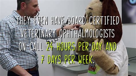 Animal Eye Specialty Clinic to the Rescue! - YouTube