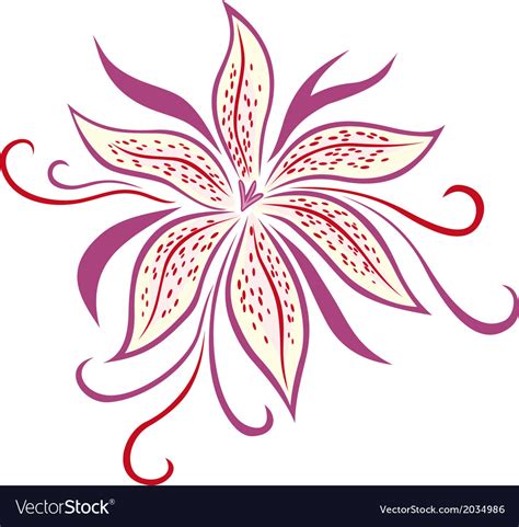 Lily flower Royalty Free Vector Image - VectorStock