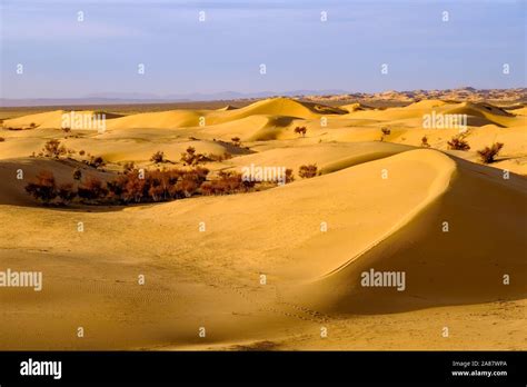 Sand dunes of Elsen Tasarkhai, Bulgan Aimag, Bulgan Province, Mongolia Stock Photo - Alamy