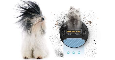 The Best Robot Vacuums for Pet Hair: Our 2023 Reviews and Ratings