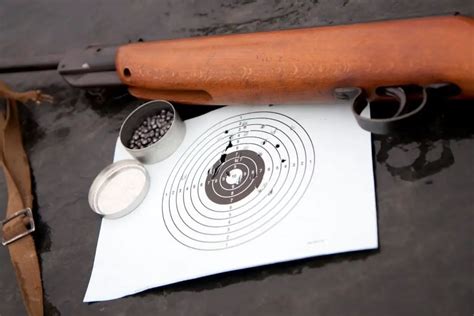 All About Air Gun Ballistics - AirgunRanger.com