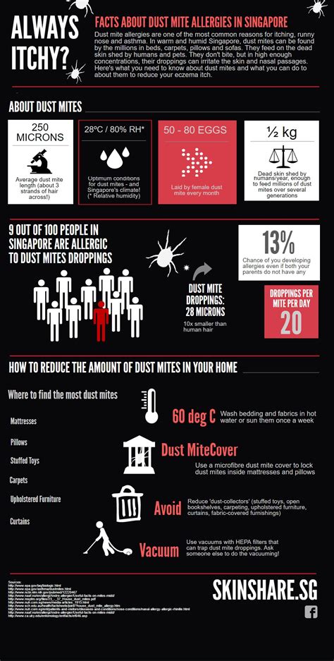 Infographic: Learn About Dust Mite Allergy in Singapore