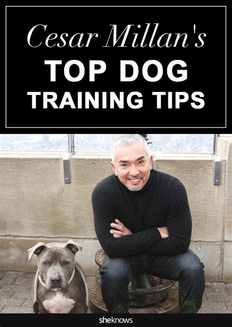 Cesar Millan Gives Us Some of His Most Surprising & Effective Dog-Training Tips