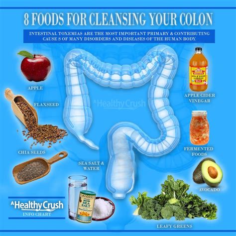 Best Herbs For Colon Cleanse | kop-academy.com