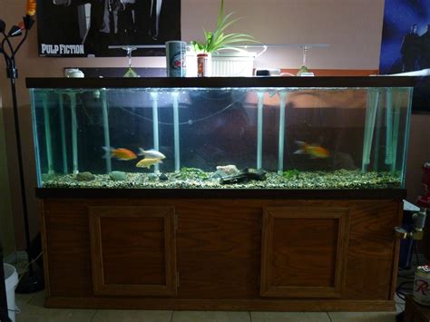 125 Gallon Aquarium For Sale Craigslist - Aquarium Views