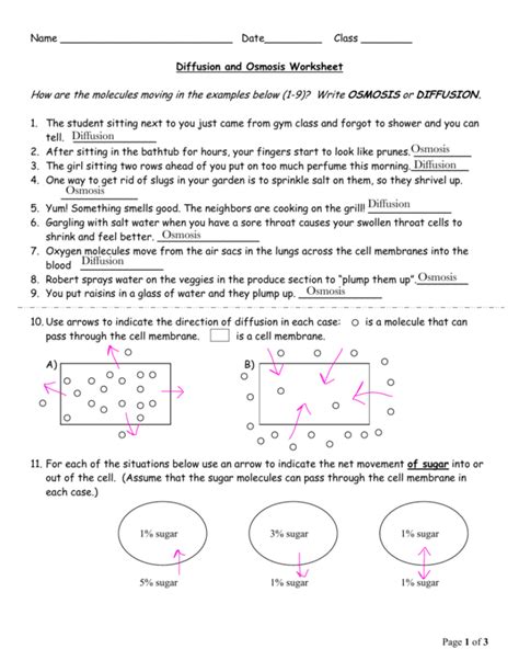 Diffusion Worksheet Answers — db-excel.com