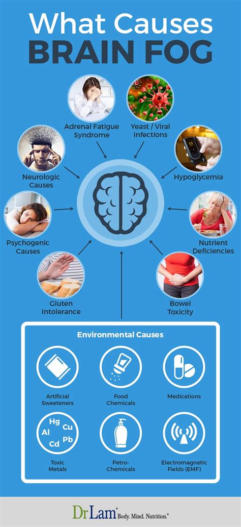 Brain Fog: What to Do About It – 323 | Medici Enterprises