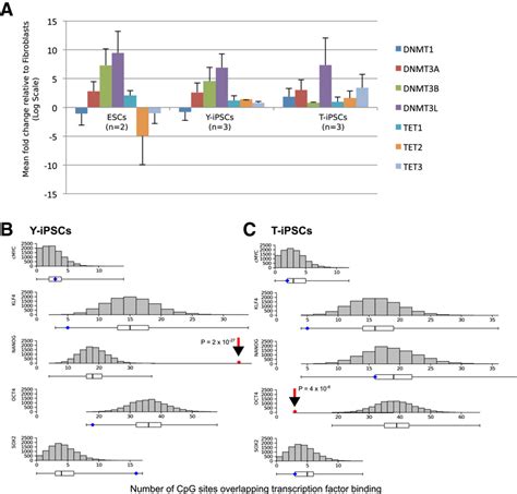 Levels of DNA methylation and demethylation enzymes and overlap of ...