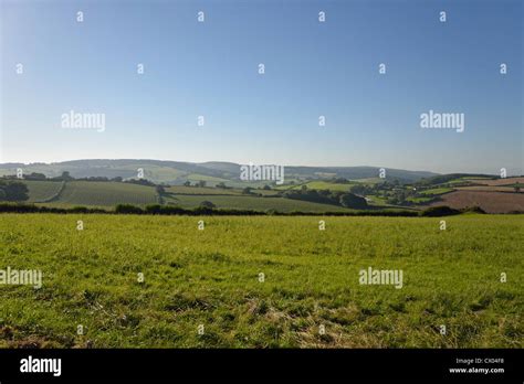 Somerset england countryside hi-res stock photography and images - Alamy