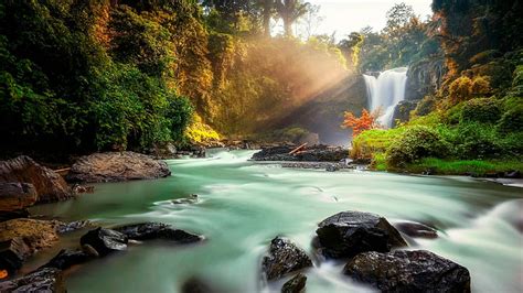 HD wallpaper: terraced field, Bali, Indonesia, plant, growth, green ...