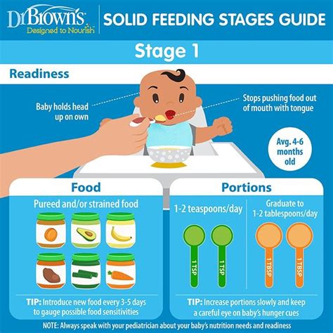 Solid Feeding Stages Guide for Babies | Baby food by age, Baby feeding schedule, Baby solid food