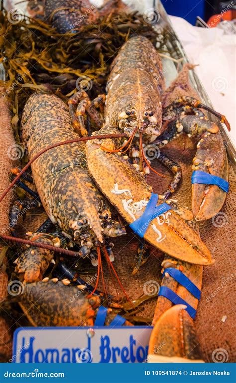 Lobster on the fish market stock photo. Image of display - 109541874