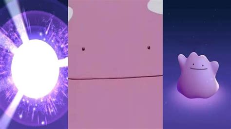 Pokémon Go Ditto – how to encounter and catch