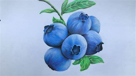 Lips With Fruit Drawing Blueberry