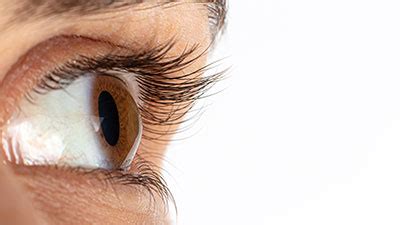 Best Cornea Specialists in Los Angeles | Assil Gaur Eye Institute