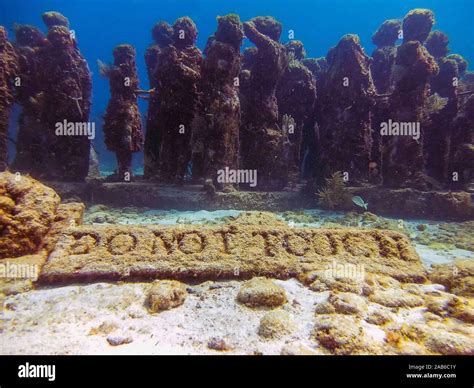 MUSA - The Museum of Underwater Art in Isla Mujeres near Cancun in Mexico Stock Photo - Alamy