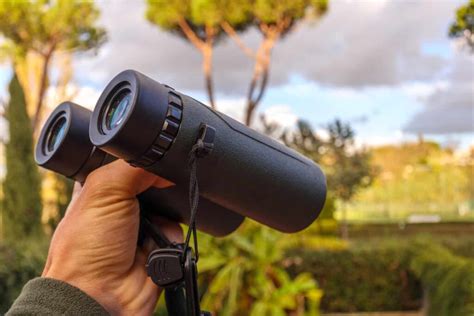 The Best Binoculars for Birding: A Buyers Guide