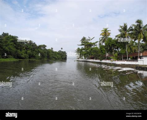 Backwaters in Kerala in Kochi Stock Photo - Alamy