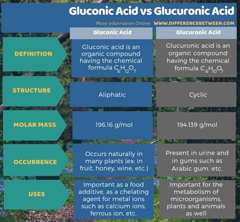 Difference Between Gluconic Acid and Glucuronic Acid | Compare the ...