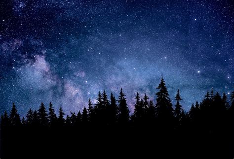 Free Image on Pixabay - Night, Nature, Astronomy, Forest | Dark ...