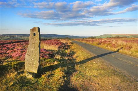 Egton Bridge Walks, The Lone Tree & Moors full of Heather, North ...