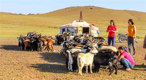 Mongolian Nomadic Life | Mongolian Lifestyle | Mongolia Cultural Tour