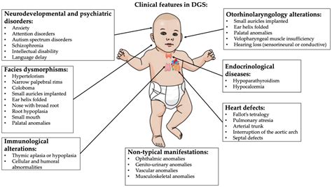 IJMS | Free Full-Text | Neuroinflammation and Oxidative Stress in ...