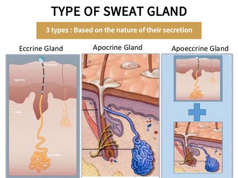 Da Vinci Clinic - Excessive Sweating Treatment