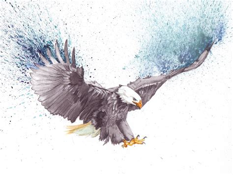 Flying Eagle Pencil Drawing at GetDrawings | Free download