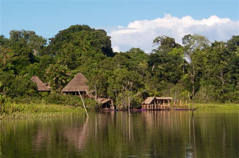 A Visit to the Sani Community in the Amazon Rainforest | Big Folly