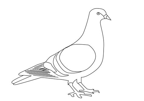 Pigeon Coloring Pages - Free Printable Coloring Pages for Kids