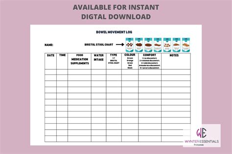 Bowel Movement Log INSTANT PDF Download Printable A4 29.7 - Etsy