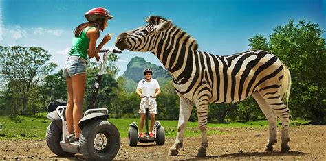 5 Fun Family Activities in Mauritius - Mauritius Attractions