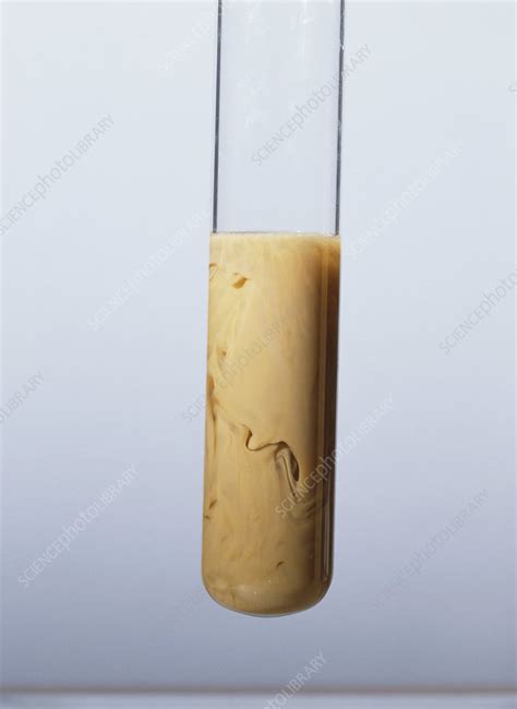 Silver hydroxide precipitate - Stock Image - A500/0417 - Science Photo Library