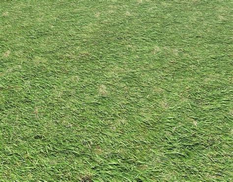 Grass terrain 13 Texture | CGTrader