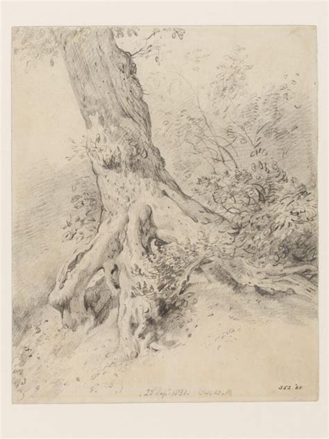 The root of a tree, at Hampstead | Constable, John (RA) | V&A Explore The Collections