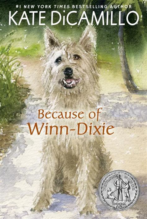 Because of Winn-Dixie (Paperback) - Walmart.com - Walmart.com