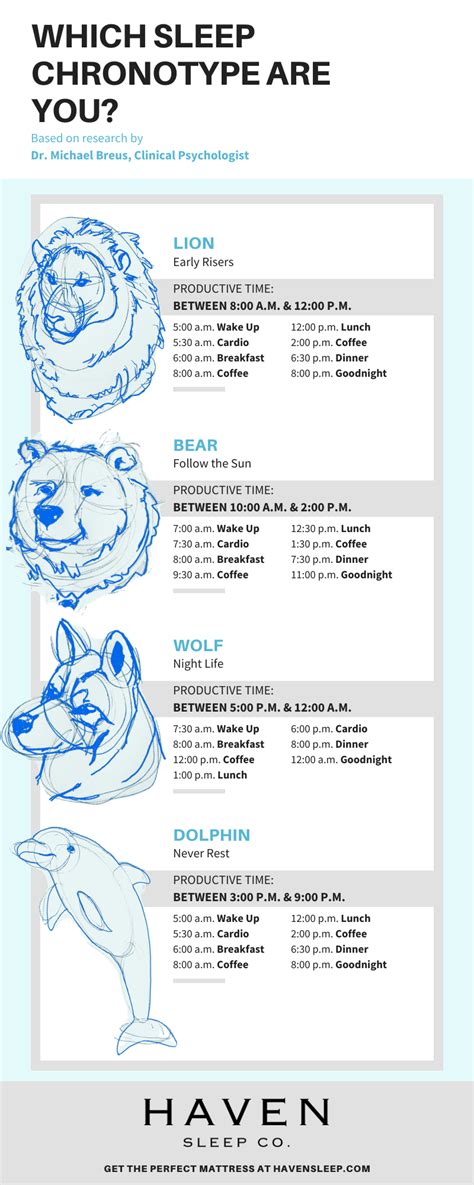 Know Your Sleep Chronotype to Optimize Your Productivity – Haven CANADA