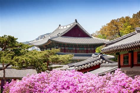 Changdeokgung Palace to open for night-time tour - News - The Jakarta Post