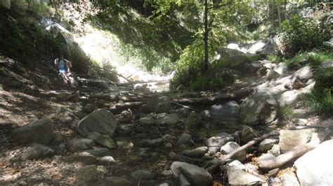 Gallery: Hiking the Mount Wilson Trail to First Water | Sierra Madre ...