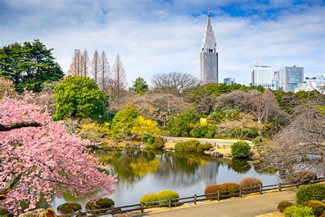 Things to do in Tokyo With Kids: Itinerary for 4 Days of Old and New ...