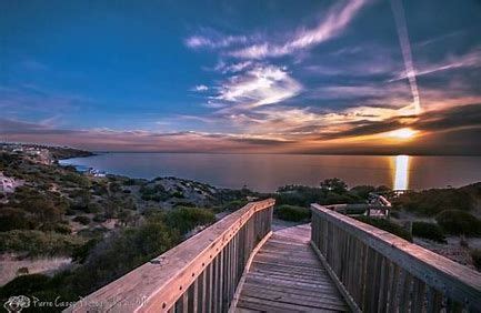 hallett cove conservation park australia - Bing images | Australia, Park south, South australia