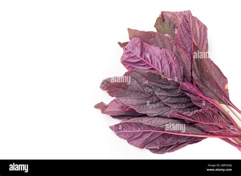 Organic Red amaranth salad leaves, isolated on white background Stock Photo - Alamy