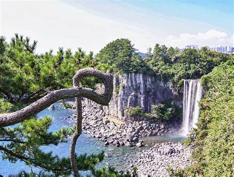 11 Things to Do in Jeju Island: The Korean Island of Love and Lava