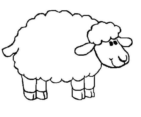 Pin on Sheep Coloring Pages