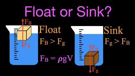 Buoyancy; Floating and Sinking - YouTube