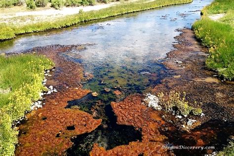 Bog Hot Springs | Oregon - Nevada Border - Oregon Discovery