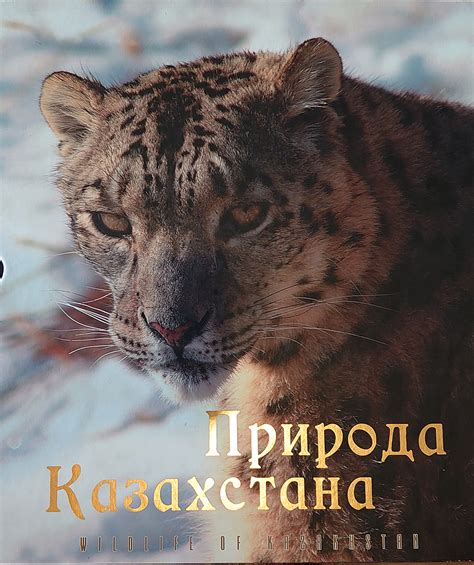 Wildlife of Kazakhstan - Discovery Book Shop