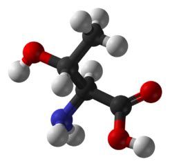 Threonine | Functions, Structure & Benefits - Video & Lesson Transcript ...