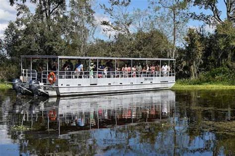 Adventures of Jean Lafitte Swamp Tour with Optional Transportation from New Orleans - TripShock!